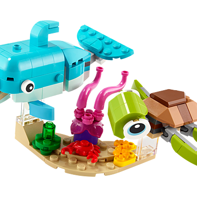 Dolphin and Turtle