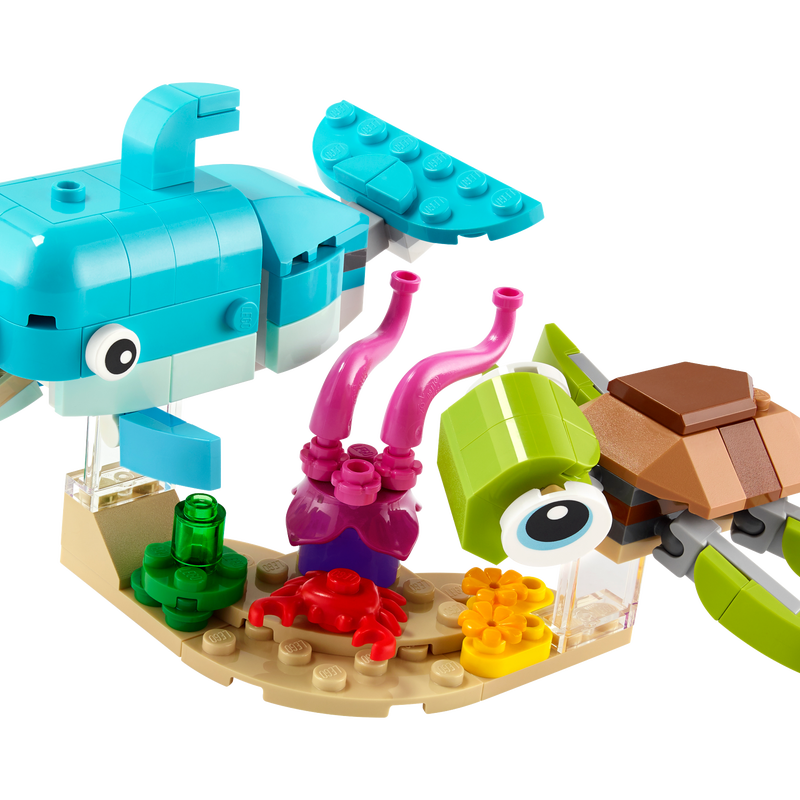 Dolphin and Turtle Dolphin and Turtle