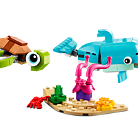 Dolphin and Turtle Dolphin and Turtle